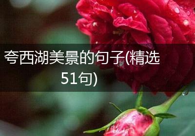 夸西湖美景的句子(精选51句)