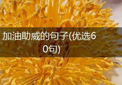 加油助威的句子(优选60句)