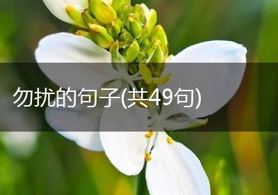 勿扰的句子(共49句)