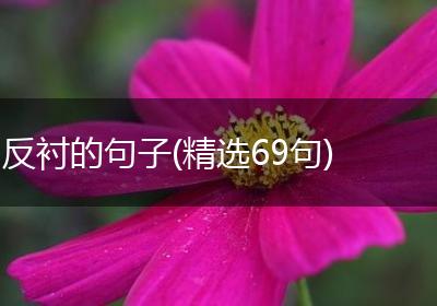 反衬的句子(精选69句)