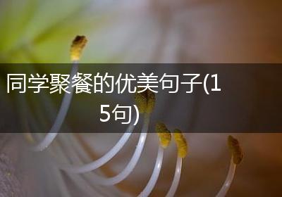 同学聚餐的优美句子(15句)