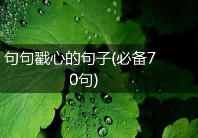 句句戳心的句子(必备70句)