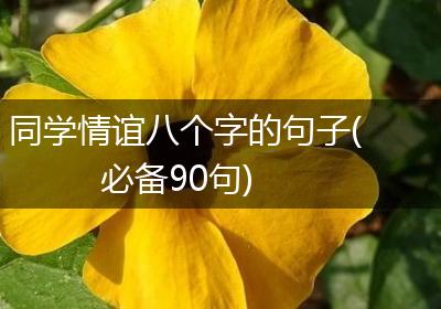 同学情谊八个字的句子(必备90句)