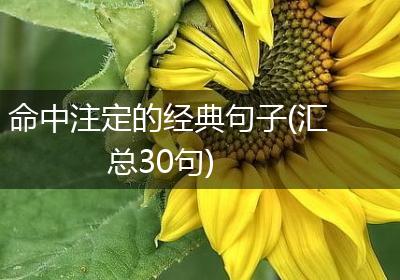 命中注定的经典句子(汇总30句)
