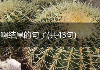 啊结尾的句子(共43句)