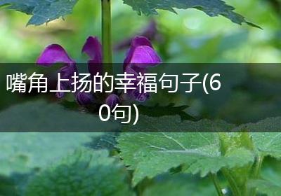 嘴角上扬的幸福句子(60句)