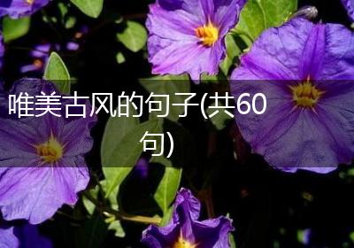 唯美古风的句子(共60句)