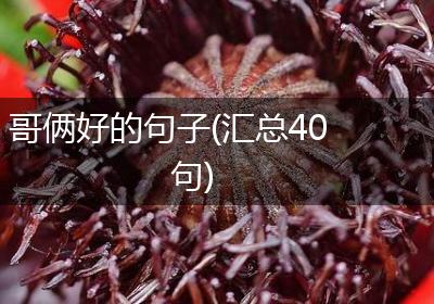 哥俩好的句子(汇总40句)