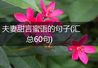 夫妻甜言蜜语的句子(汇总60句)
