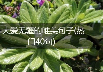 大爱无疆的唯美句子(热门40句)