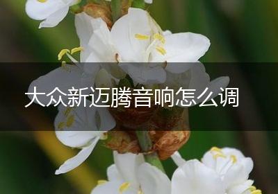 大众新迈腾音响怎么调