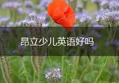 昂立少儿英语好吗