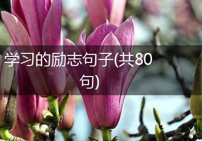 学习的励志句子(共80句)