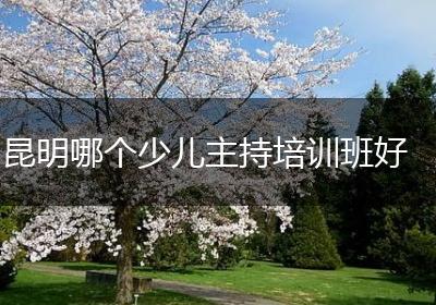 昆明哪个少儿主持培训班好