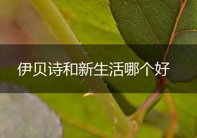 伊贝诗和新生活哪个好