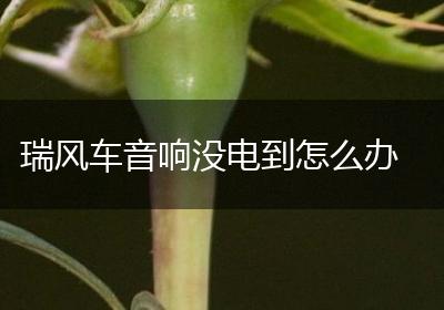 瑞风车音响没电到怎么办