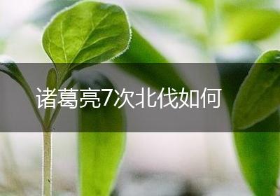 诸葛亮7次北伐如何