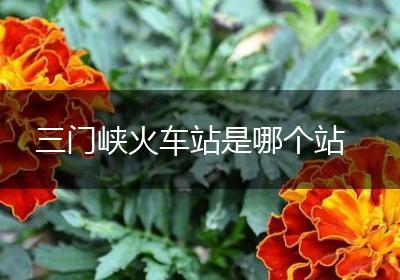 三门峡火车站是哪个站