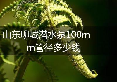 山东聊城潜水泵100mm管径多少钱