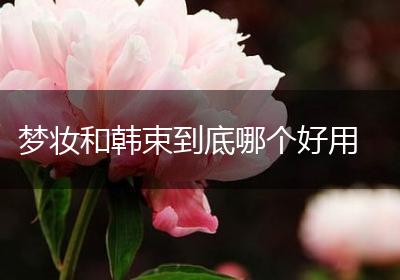 梦妆和韩束到底哪个好用