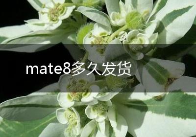 mate8多久发货