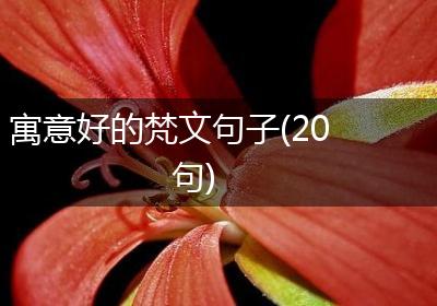 寓意好的梵文句子(20句)