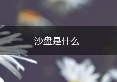 沙盘是什么