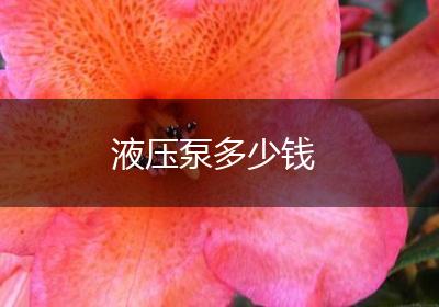 液压泵多少钱