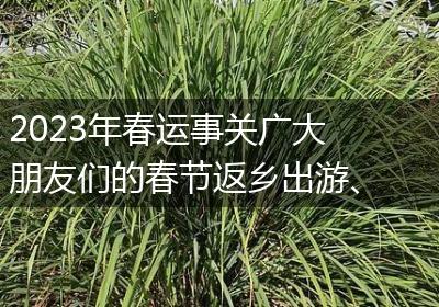 2023年春运事关广大朋友们的春节返乡出游、放假开学、节后返岗