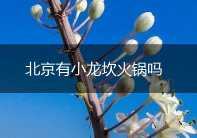 北京有小龙坎火锅吗