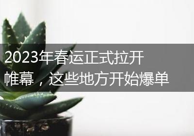 2023年春运正式拉开帷幕，这些地方开始爆单了！