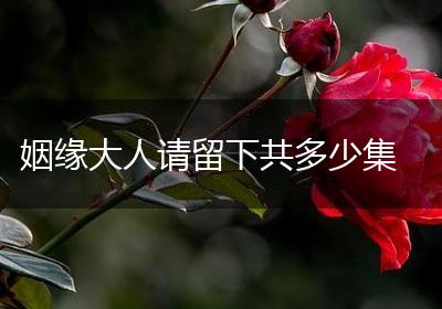 姻缘大人请留下共多少集