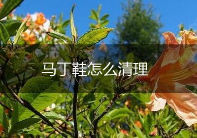 马丁鞋怎么清理