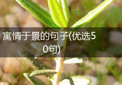 寓情于景的句子(优选50句)