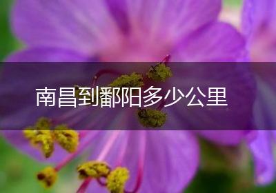 南昌到鄱阳多少公里