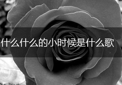 什么什么的小时候是什么歌