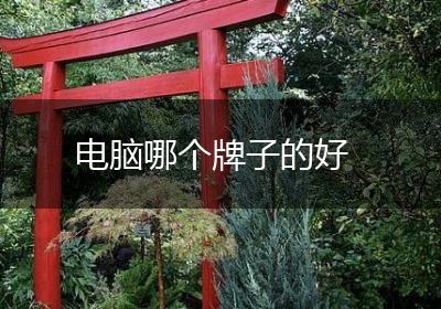 电脑哪个牌子的好