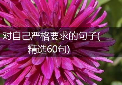 对自己严格要求的句子(精选60句)