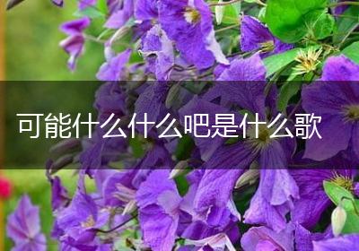 可能什么什么吧是什么歌