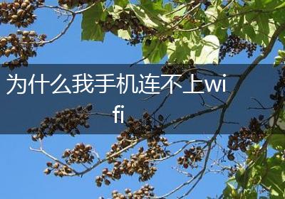 为什么我手机连不上wifi