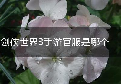 剑侠世界3手游官服是哪个