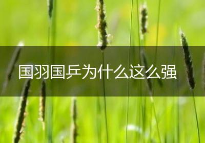 国羽国乒为什么这么强