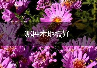 哪种木地板好