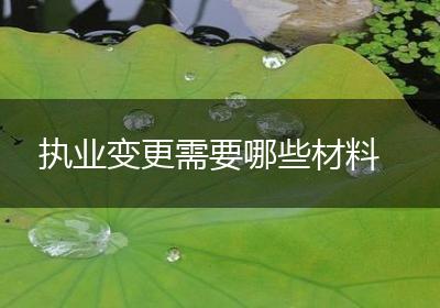 执业变更需要哪些材料