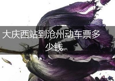 大庆西站到沧州动车票多少钱