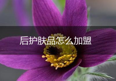 后护肤品怎么加盟