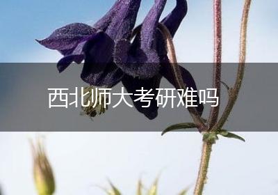 西北师大考研难吗
