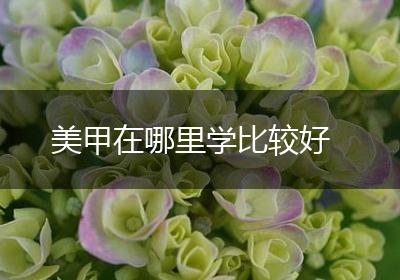 美甲在哪里学比较好