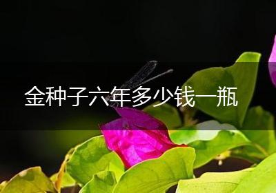 金种子六年多少钱一瓶
