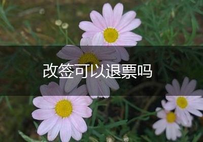 改签可以退票吗
